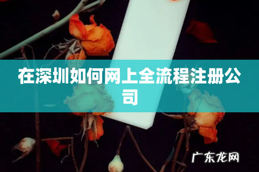 在深圳如何网上全流程注册公司