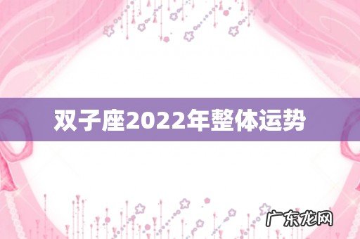 双子座2022年整体运势