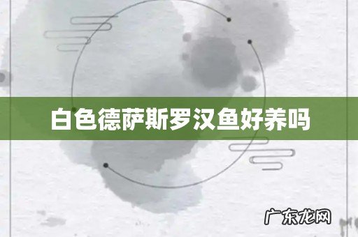 白色德萨斯罗汉鱼好养吗