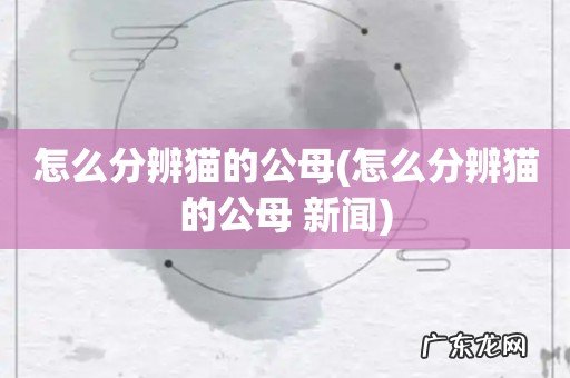 怎么分辨猫的公母 新闻 怎么分辨猫的公母