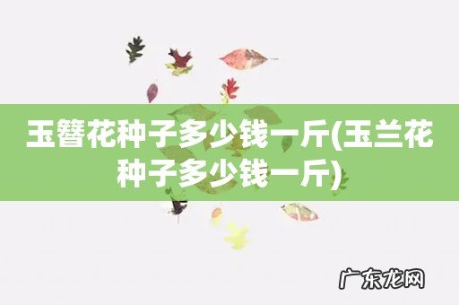 玉兰花种子多少钱一斤 玉簪花种子多少钱一斤