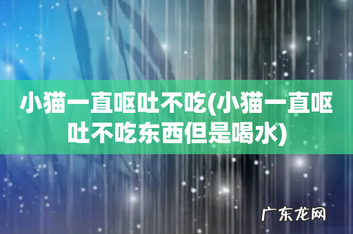 小猫一直呕吐不吃东西但是喝水 小猫一直呕吐不吃