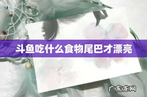 斗鱼吃什么食物尾巴才漂亮