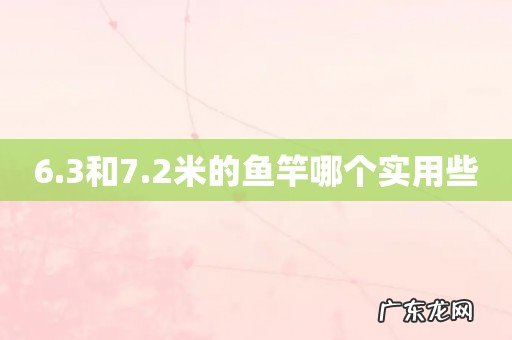 6.3和7.2米的鱼竿哪个实用些