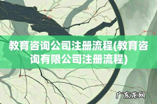 教育咨询有限公司注册流程 教育咨询公司注册流程