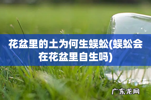 蜈蚣会在花盆里自生吗 花盆里的土为何生蜈蚣