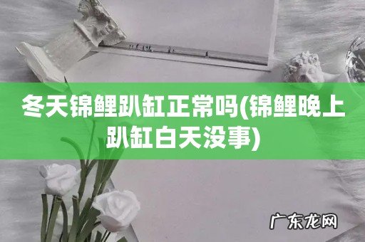 锦鲤晚上趴缸白天没事 冬天锦鲤趴缸正常吗