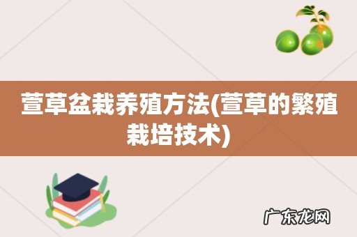 萱草的繁殖栽培技术 萱草盆栽养殖方法
