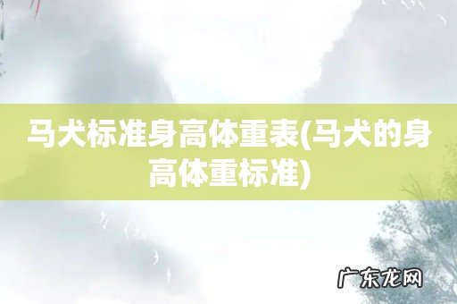 马犬的身高体重标准 马犬标准身高体重表