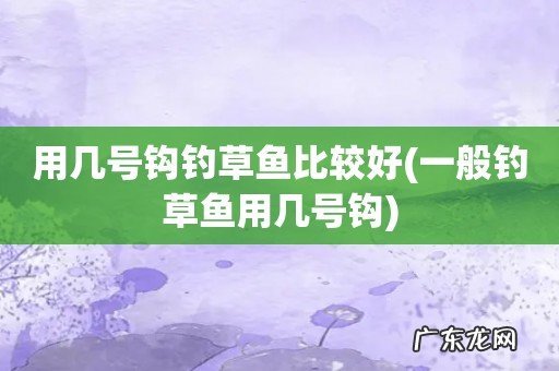 一般钓草鱼用几号钩 用几号钩钓草鱼比较好