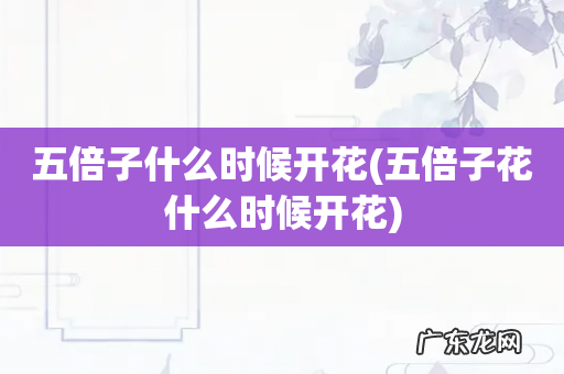 五倍子花什么时候开花 五倍子什么时候开花