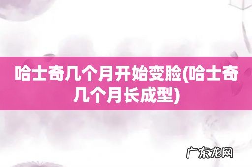 哈士奇几个月长成型 哈士奇几个月开始变脸