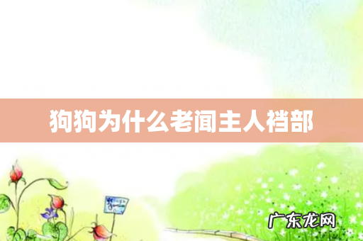 狗狗为什么老闻主人裆部