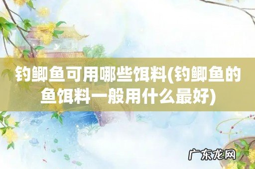 钓鲫鱼的鱼饵料一般用什么最好 钓鲫鱼可用哪些饵料