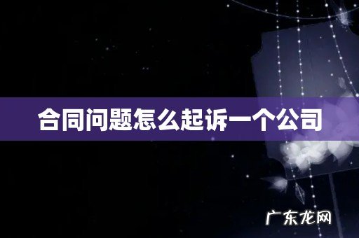 合同问题怎么起诉一个公司