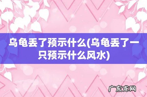乌龟丢了一只预示什么风水 乌龟丢了预示什么