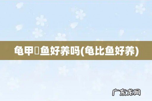 龟比鱼好养 龟甲魟鱼好养吗