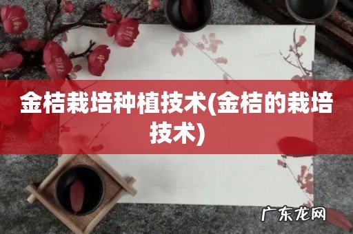 金桔的栽培技术 金桔栽培种植技术