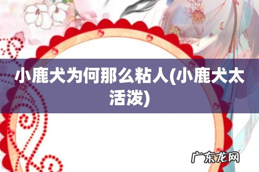 小鹿犬太活泼 小鹿犬为何那么粘人