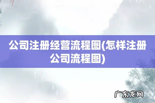 怎样注册公司流程图 公司注册经营流程图