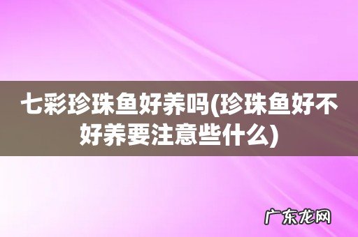 珍珠鱼好不好养要注意些什么 七彩珍珠鱼好养吗