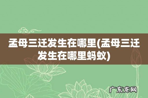 孟母三迁发生在哪里蚂蚁 孟母三迁发生在哪里