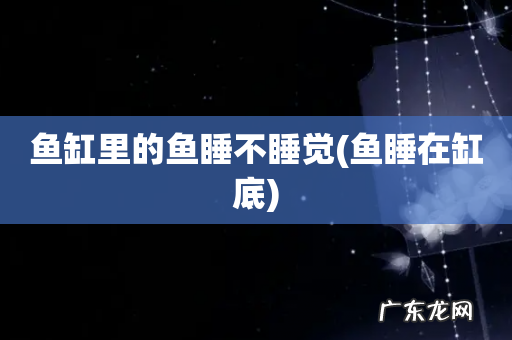 鱼睡在缸底 鱼缸里的鱼睡不睡觉