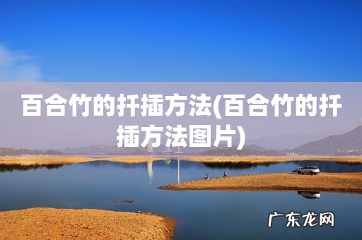 百合竹的扦插方法图片 百合竹的扦插方法