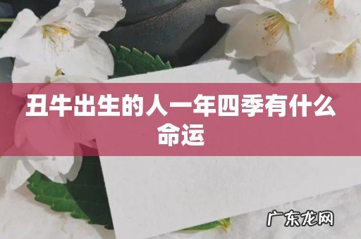 丑牛出生的人一年四季有什么命运