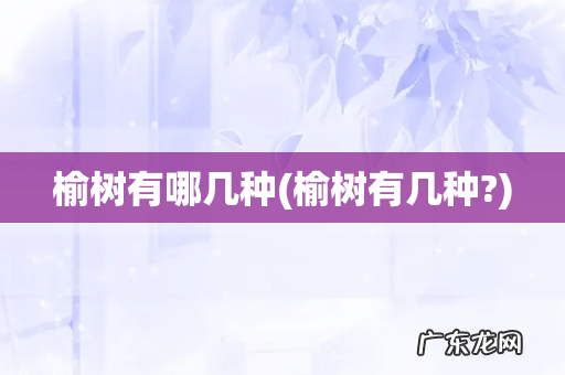 榆树有几种? 榆树有哪几种