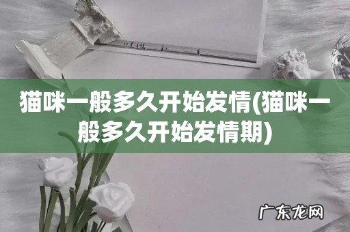 猫咪一般多久开始发情期 猫咪一般多久开始发情