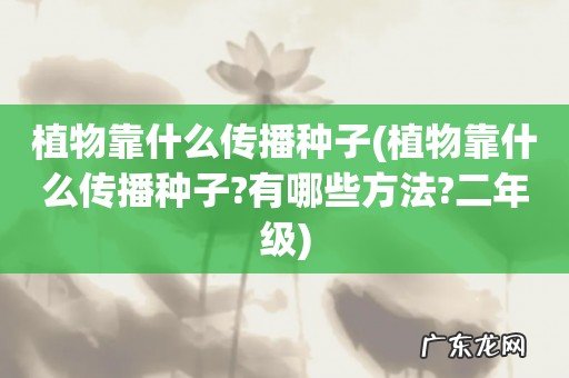 植物靠什么传播种子?有哪些方法?二年级 植物靠什么传播种子