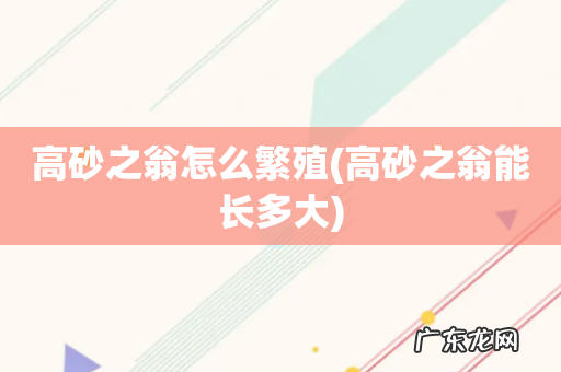 高砂之翁能长多大 高砂之翁怎么繁殖