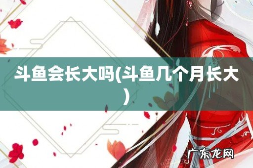 斗鱼几个月长大 斗鱼会长大吗