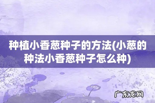小葱的种法小香葱种子怎么种 种植小香葱种子的方法