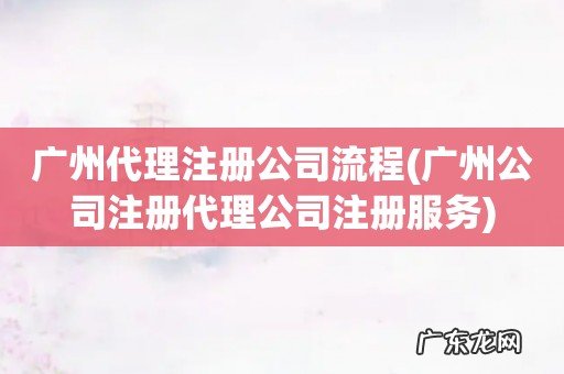 广州公司注册代理公司注册服务 广州代理注册公司流程