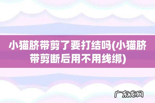 小猫脐带剪断后用不用线绑 小猫脐带剪了要打结吗