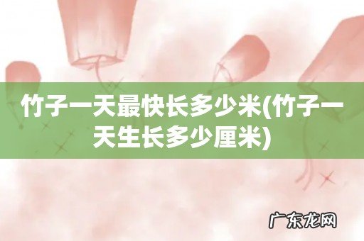 竹子一天生长多少厘米 竹子一天最快长多少米