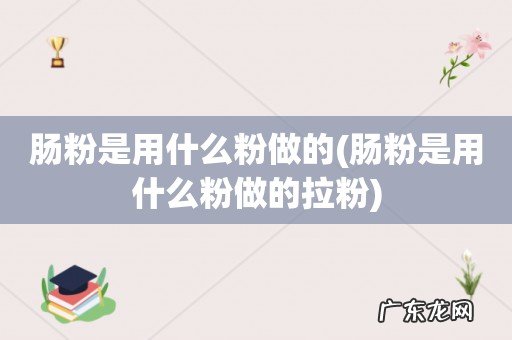 肠粉是用什么粉做的拉粉 肠粉是用什么粉做的