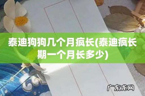 泰迪疯长期一个月长多少 泰迪狗狗几个月疯长