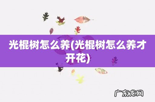 光棍树怎么养才开花 光棍树怎么养