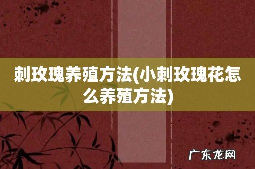 小刺玫瑰花怎么养殖方法 刺玫瑰养殖方法