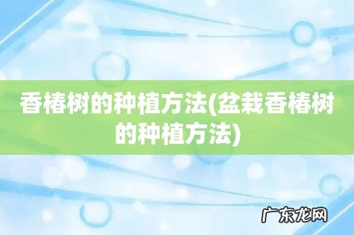 盆栽香椿树的种植方法 香椿树的种植方法
