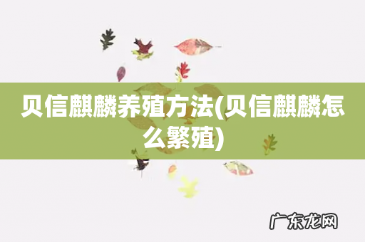 贝信麒麟怎么繁殖 贝信麒麟养殖方法