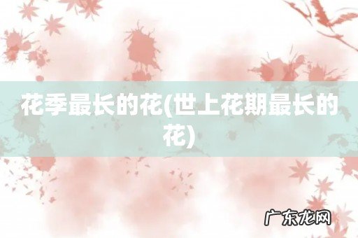 世上花期最长的花 花季最长的花