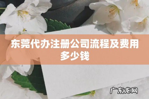 东莞代办注册公司流程及费用多少钱