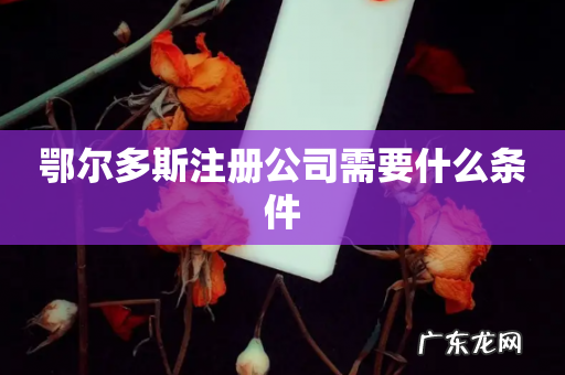 鄂尔多斯注册公司需要什么条件