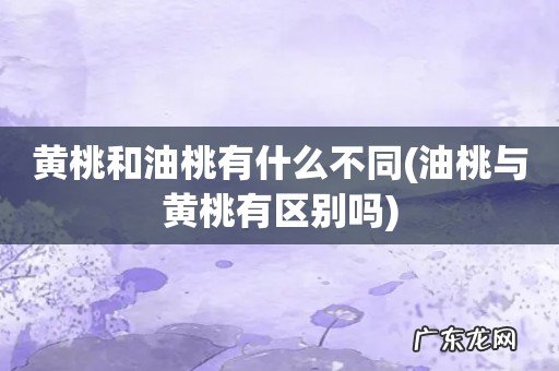 油桃与黄桃有区别吗 黄桃和油桃有什么不同