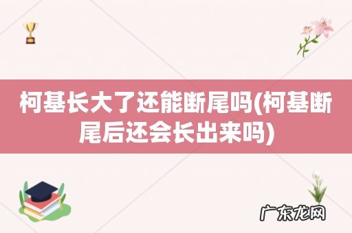 柯基断尾后还会长出来吗 柯基长大了还能断尾吗