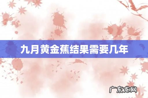 九月黄金蕉结果需要几年
